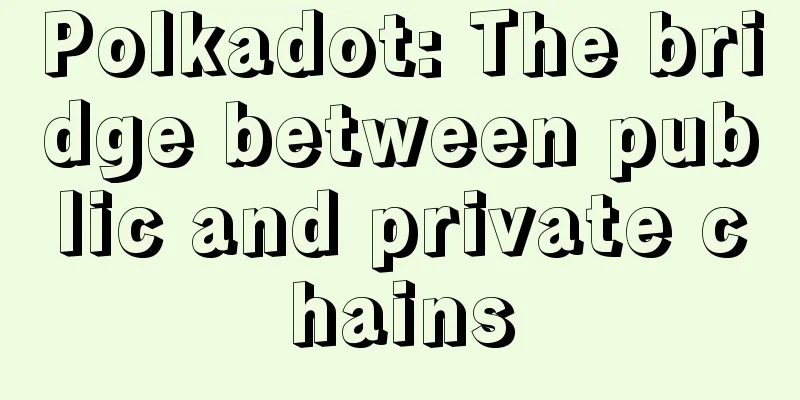 Polkadot: The bridge between public and private chains