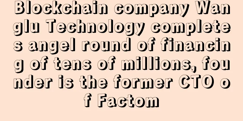 Blockchain company Wanglu Technology completes angel round of financing of tens of millions, founder is the former CTO of Factom