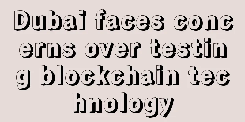 Dubai faces concerns over testing blockchain technology