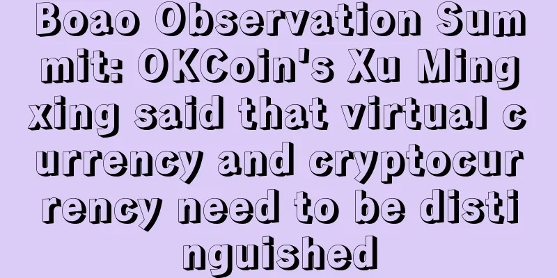 Boao Observation Summit: OKCoin's Xu Mingxing said that virtual currency and cryptocurrency need to be distinguished