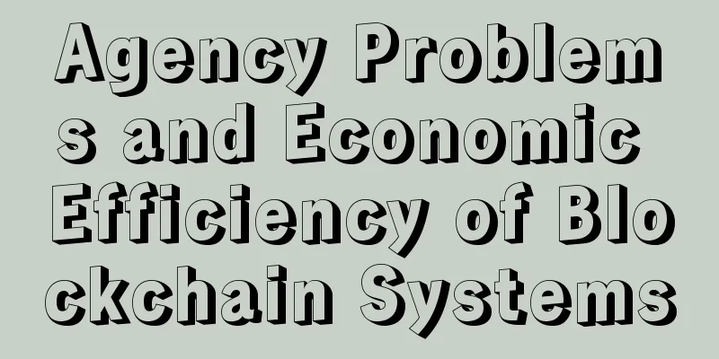 Agency Problems and Economic Efficiency of Blockchain Systems