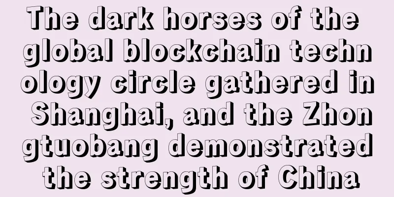 The dark horses of the global blockchain technology circle gathered in Shanghai, and the Zhongtuobang demonstrated the strength of China