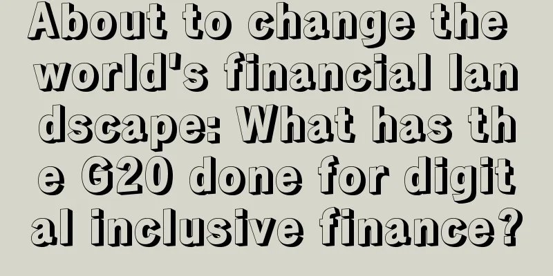 About to change the world's financial landscape: What has the G20 done for digital inclusive finance?