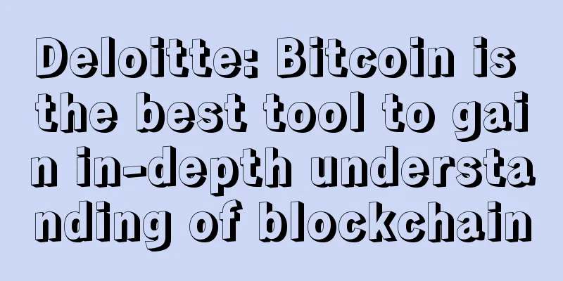 Deloitte: Bitcoin is the best tool to gain in-depth understanding of blockchain