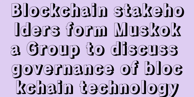 Blockchain stakeholders form Muskoka Group to discuss governance of blockchain technology