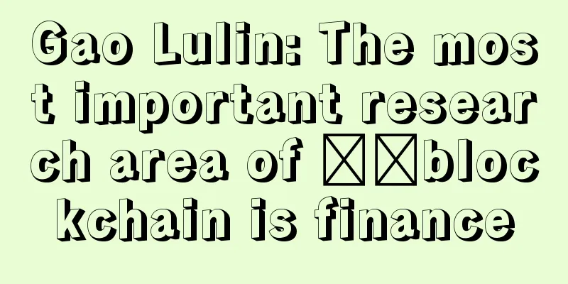 Gao Lulin: The most important research area of ​​blockchain is finance