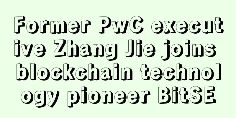 Former PwC executive Zhang Jie joins blockchain technology pioneer BitSE