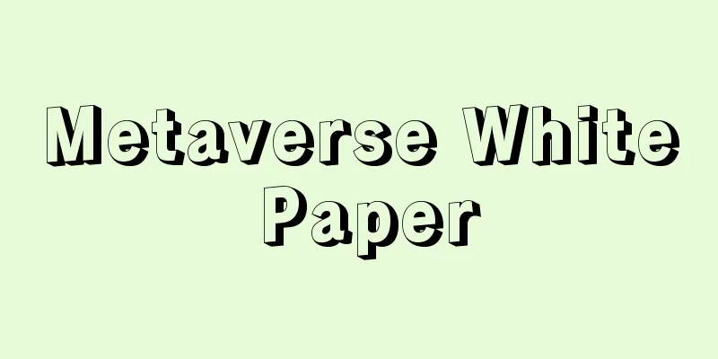 Metaverse White Paper