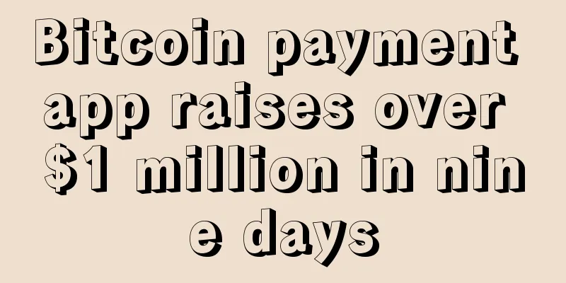 Bitcoin payment app raises over $1 million in nine days