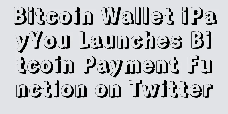 Bitcoin Wallet iPayYou Launches Bitcoin Payment Function on Twitter