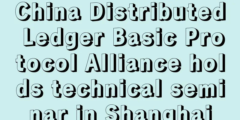 China Distributed Ledger Basic Protocol Alliance holds technical seminar in Shanghai