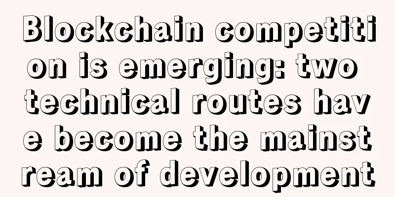 Blockchain competition is emerging: two technical routes have become the mainstream of development