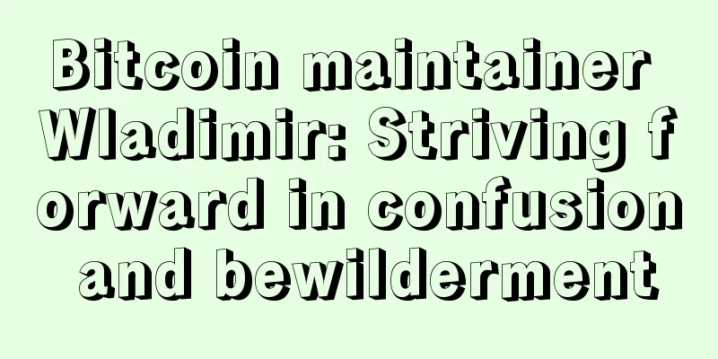 Bitcoin maintainer Wladimir: Striving forward in confusion and bewilderment