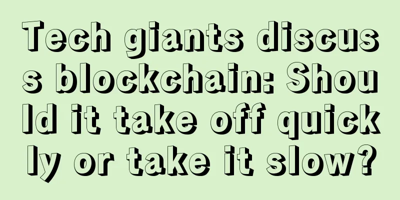 Tech giants discuss blockchain: Should it take off quickly or take it slow?