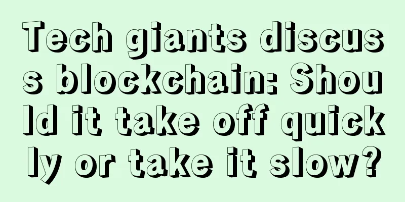 Tech giants discuss blockchain: Should it take off quickly or take it slow?