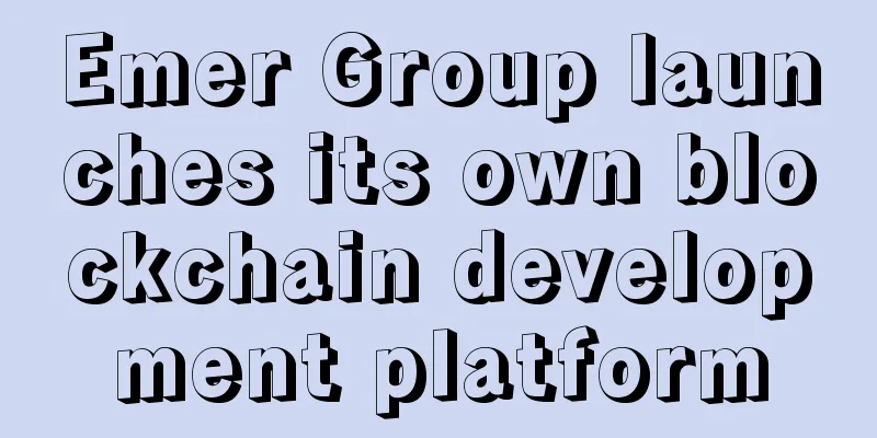 Emer Group launches its own blockchain development platform