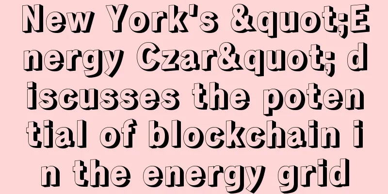 New York's "Energy Czar" discusses the potential of blockchain in the energy grid