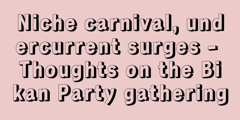 Niche carnival, undercurrent surges - Thoughts on the Bikan Party gathering