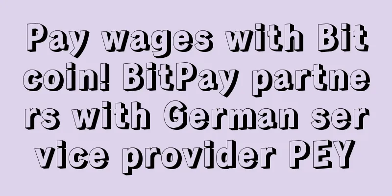 Pay wages with Bitcoin! BitPay partners with German service provider PEY