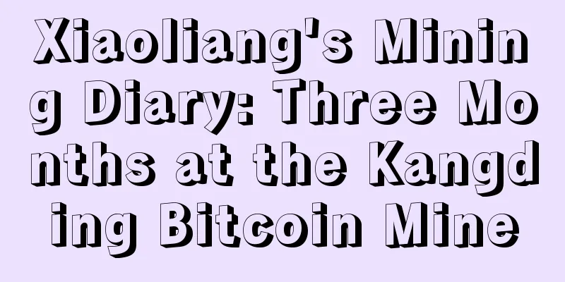 Xiaoliang's Mining Diary: Three Months at the Kangding Bitcoin Mine