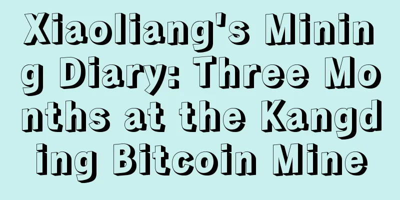 Xiaoliang's Mining Diary: Three Months at the Kangding Bitcoin Mine