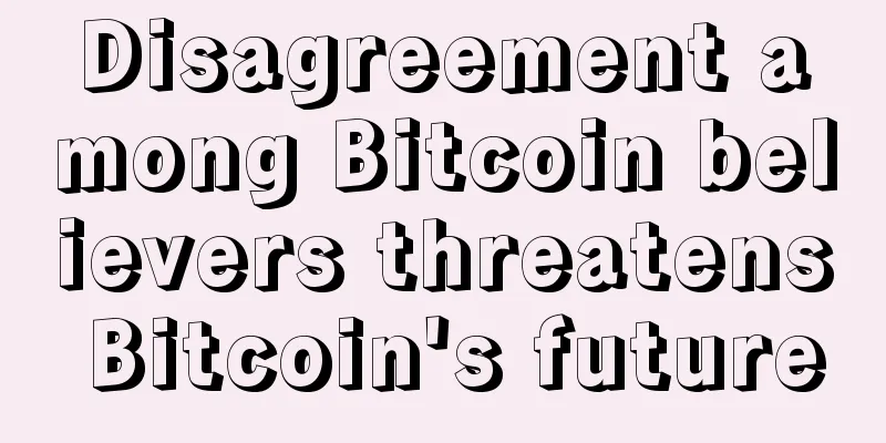 Disagreement among Bitcoin believers threatens Bitcoin's future