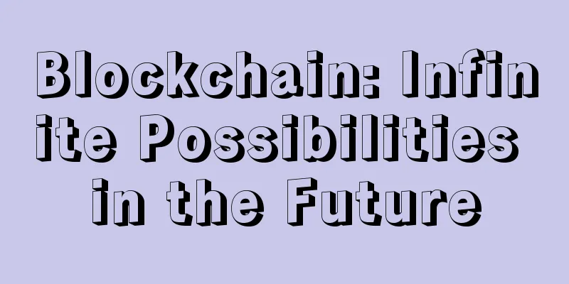 Blockchain: Infinite Possibilities in the Future