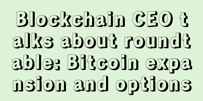 Blockchain CEO talks about roundtable: Bitcoin expansion and options
