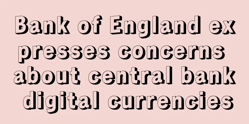 Bank of England expresses concerns about central bank digital currencies
