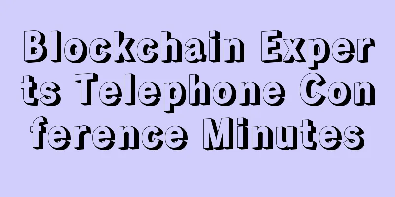 Blockchain Experts Telephone Conference Minutes