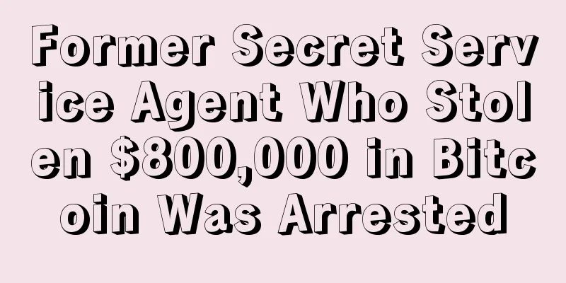 Former Secret Service Agent Who Stolen $800,000 in Bitcoin Was Arrested