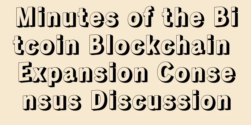 Minutes of the Bitcoin Blockchain Expansion Consensus Discussion