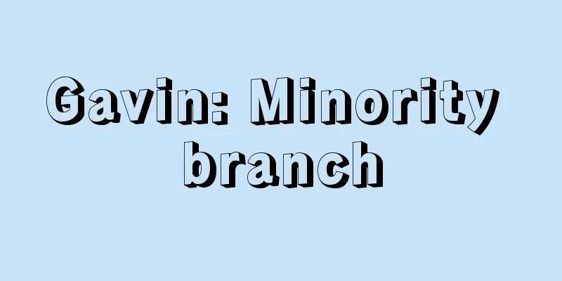 Gavin: Minority branch