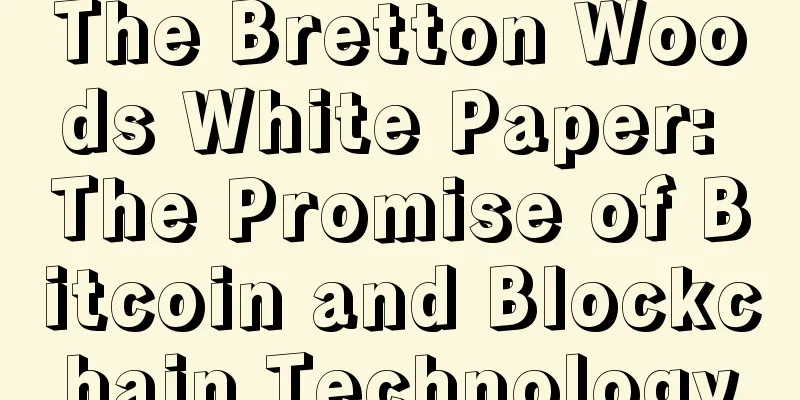The Bretton Woods White Paper: The Promise of Bitcoin and Blockchain Technology