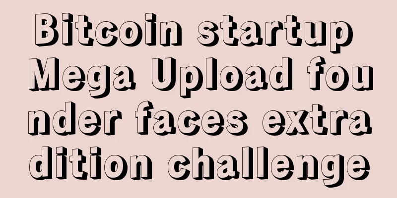 Bitcoin startup Mega Upload founder faces extradition challenge