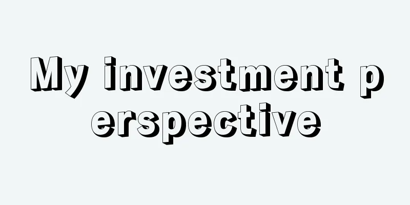 My investment perspective