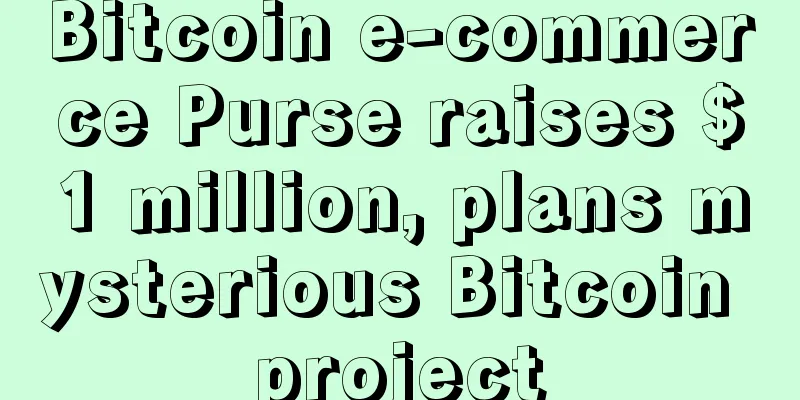 Bitcoin e-commerce Purse raises $1 million, plans mysterious Bitcoin project
