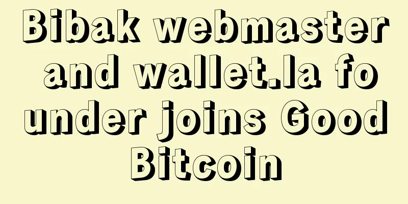 Bibak webmaster and wallet.la founder joins GoodBitcoin