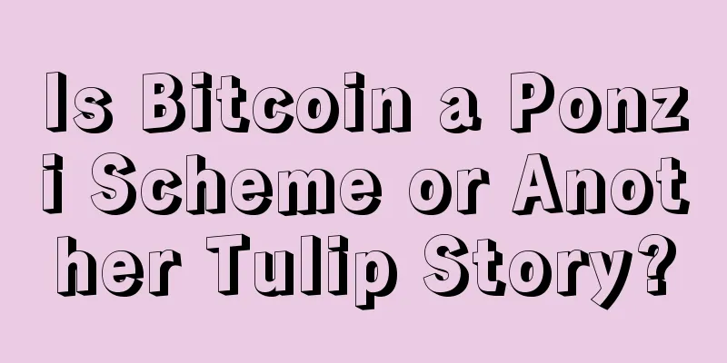 Is Bitcoin a Ponzi Scheme or Another Tulip Story?