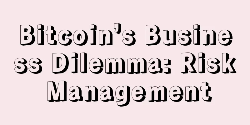 Bitcoin’s Business Dilemma: Risk Management