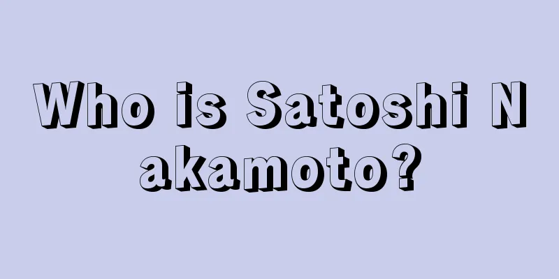 Who is Satoshi Nakamoto?