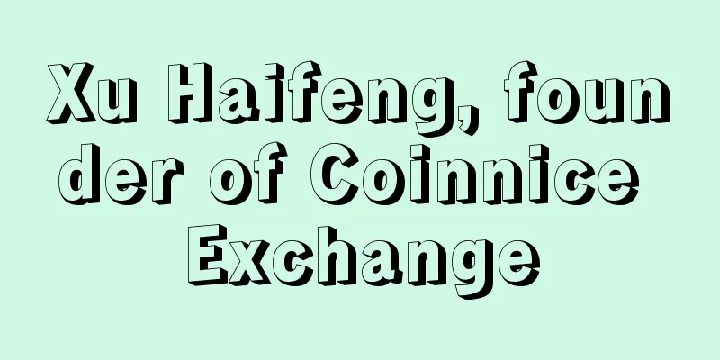 Xu Haifeng, founder of Coinnice Exchange