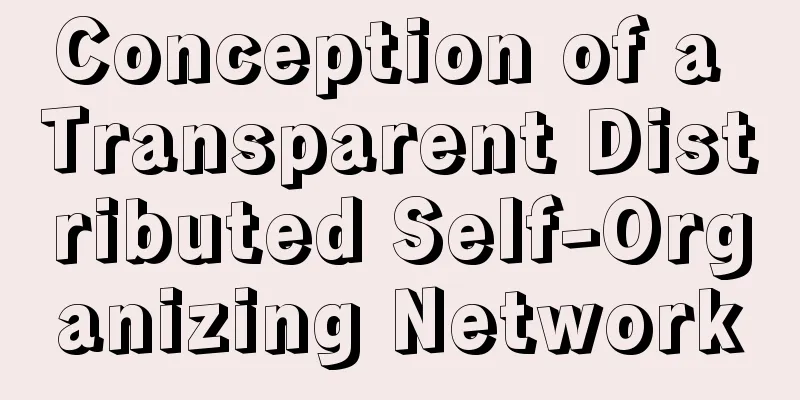 Conception of a Transparent Distributed Self-Organizing Network