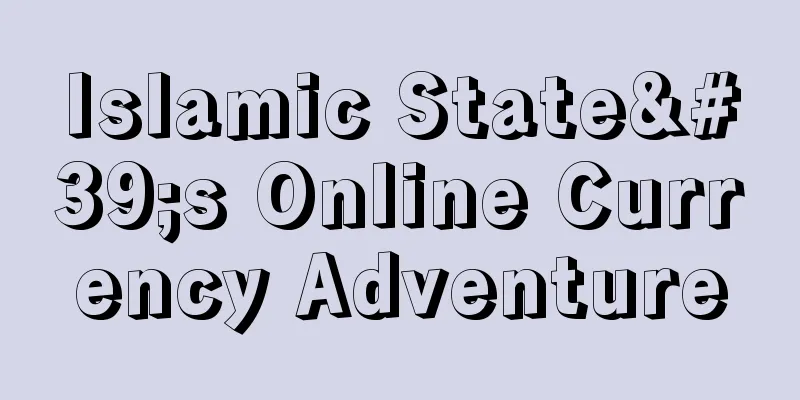 Islamic State's Online Currency Adventure