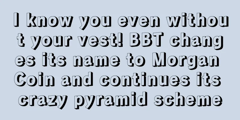 I know you even without your vest! BBT changes its name to Morgan Coin and continues its crazy pyramid scheme