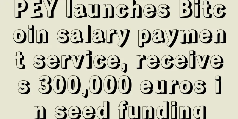 PEY launches Bitcoin salary payment service, receives 300,000 euros in seed funding