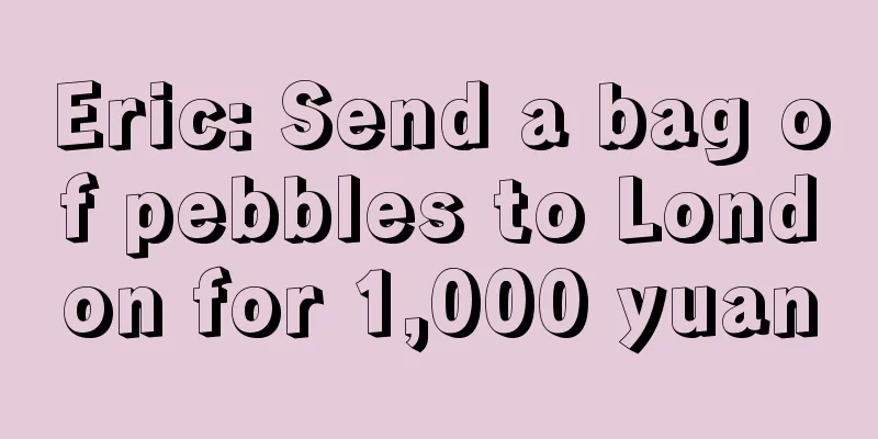 Eric: Send a bag of pebbles to London for 1,000 yuan