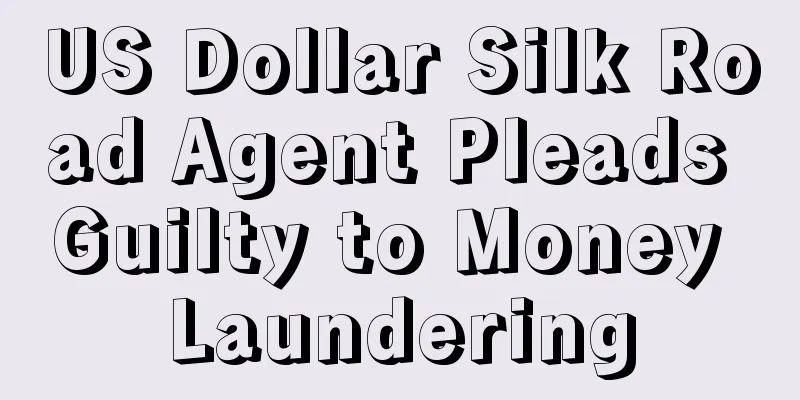US Dollar Silk Road Agent Pleads Guilty to Money Laundering