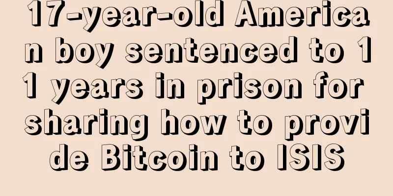 17-year-old American boy sentenced to 11 years in prison for sharing how to provide Bitcoin to ISIS