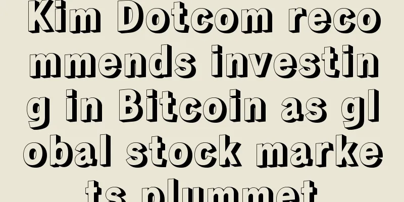 Kim Dotcom recommends investing in Bitcoin as global stock markets plummet